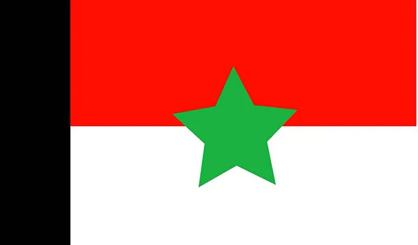 party flag